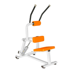 Abdominal Crunch Machine & Back Extension Machine - SXZFITNESS