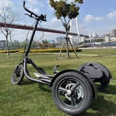 Outdoor Standing Stepper Fitness Bike – Ride, Step, Sculpt Anywhere - SXZFITNESS