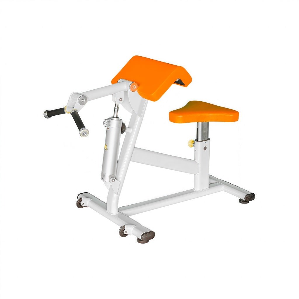 2 - in - 1 Bicep Curl Machine & Tricep Extension Machine - SXZFITNESS
