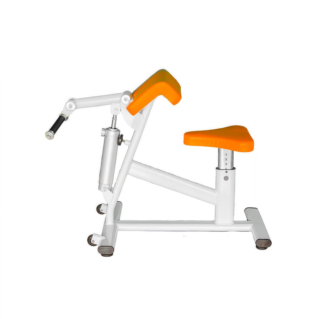 2 - in - 1 Bicep Curl Machine & Tricep Extension Machine - SXZFITNESS