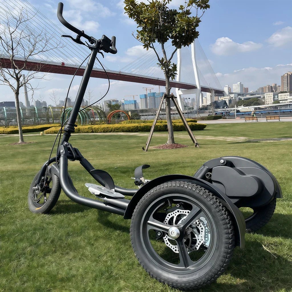 Outdoor Standing Stepper Fitness Bike – Ride, Step, Sculpt Anywhere - SXZFITNESS