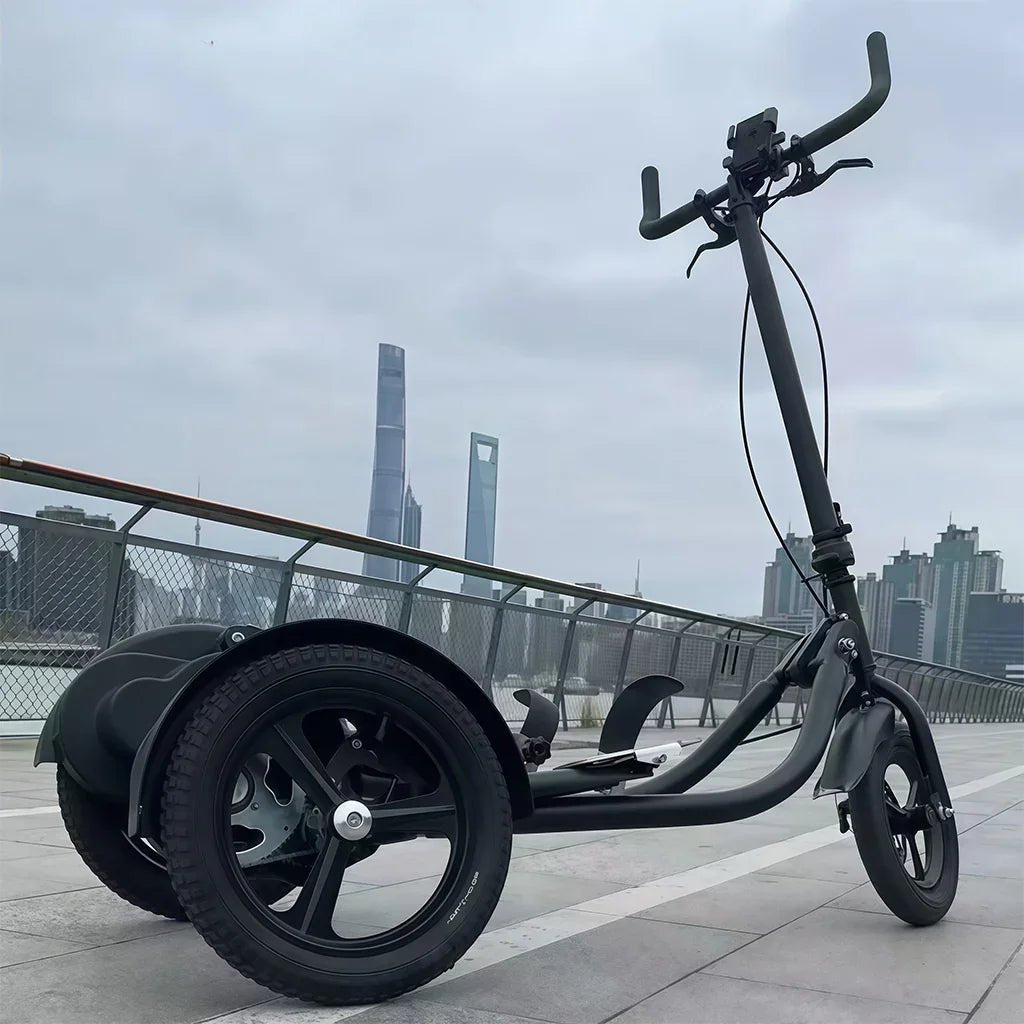 Outdoor Standing Stepper Fitness Bike – Ride, Step, Sculpt Anywhere - SXZFITNESS
