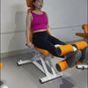 Leg Extension and Leg Curl Machine