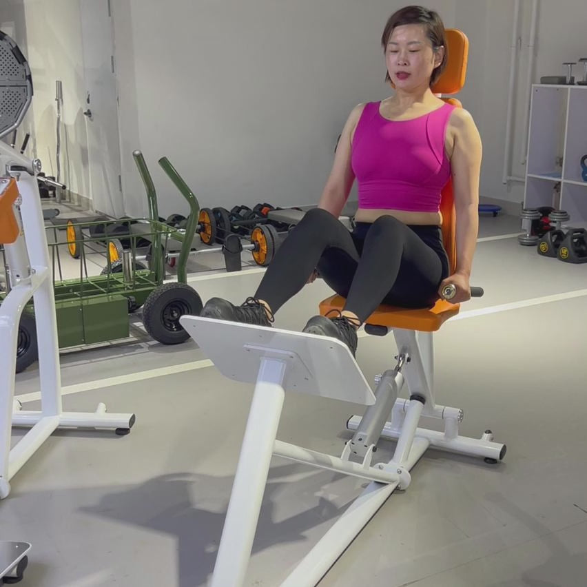 Leg Press Machine